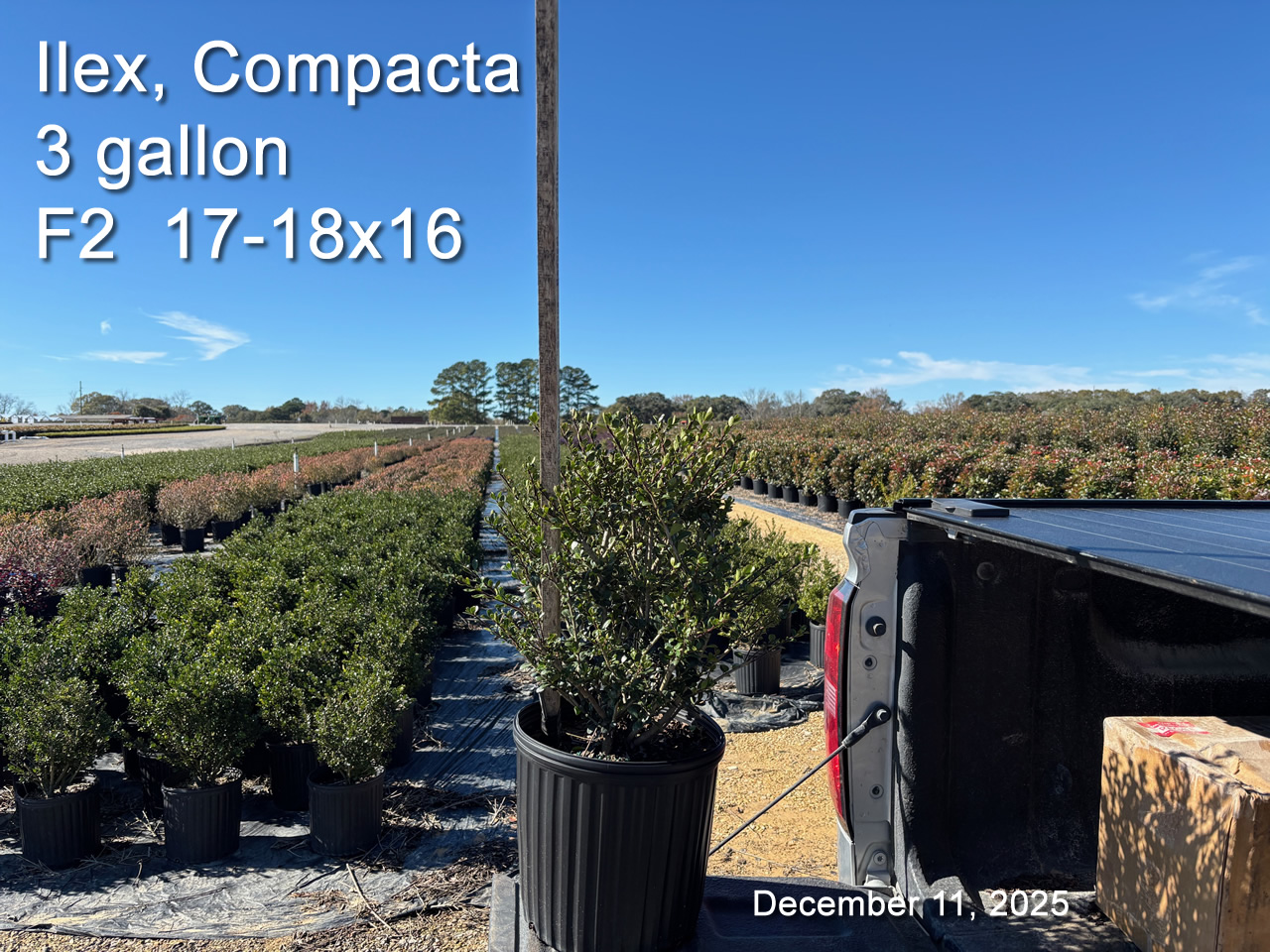 gallery/comp3 f2 dec11.jpg